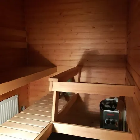 Hopeamaja Apartment