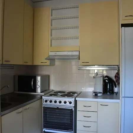 Apartment Hopeamaja Pieksamaki